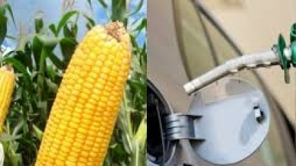 Brasil eleva cota de importação de etanol sem tarifa 