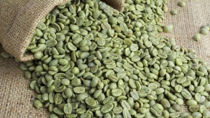 Exportação de café verde recua 8,5% em agosto; receita cai quase 20%  