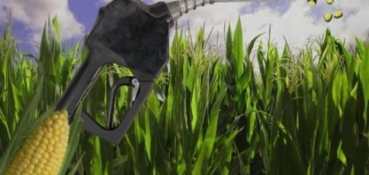 Etanol para adoçar os americanos