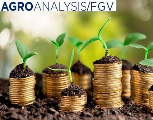 Agroindústria reduz sua produção em 0,3% até julho ante ano anterior