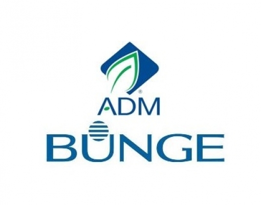 ADM e Bunge não compram produtos de novas áreas desmatadas na Amazônia