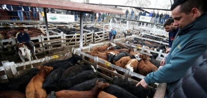 Cadê a carne? Pecuaristas argentinos querem ampliar exportações à China