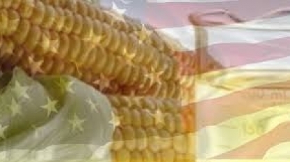 Etanol/EUA: Produção recua 6% na semana, para 943 mi de barris/dia