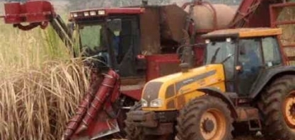 Centro-Sul tem maior moagem de cana e recorde em etanol hidratado 