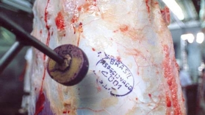 Exportação de carne bovina alcança 150,16 mil t, queda de 13,58% ante 2018