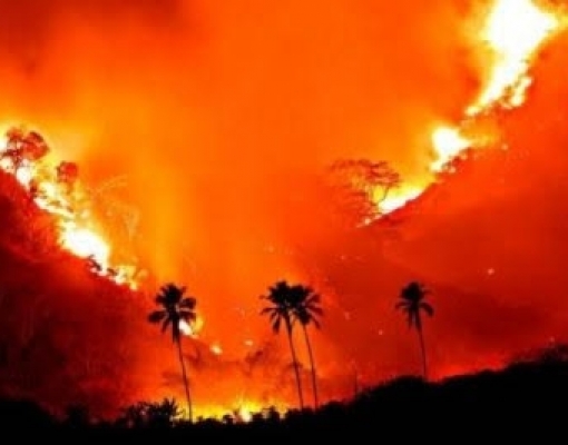 Meio ambiente versus inserção internacional