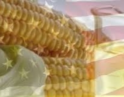 Novabio quer etanol dos EUA no Centro-Sul