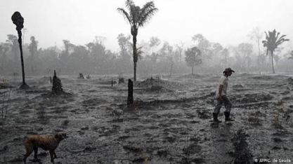 'Crise da Amazônia provocou exigência de temas ESG por empresas', diz IBGC