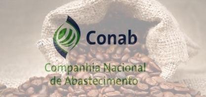 Conab é um farol apagado para os produtores de café