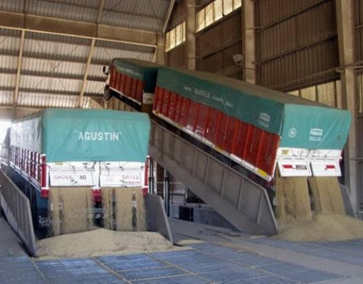 China abre mercado para farelo de soja argentino, diz governo da Argentina