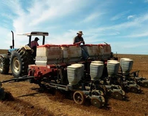 O agronegócio pode crescer sem desmatar?