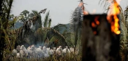 Preocupação ambiental atinge venda de carne e bebidas