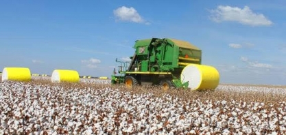 Bahia já tem dois municípios agrícolas entre os 5 mais rentáveis do país