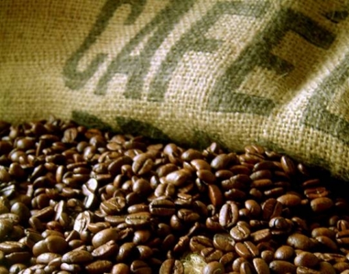 Mesmo com boa exportação, café não gera renda ao produtor