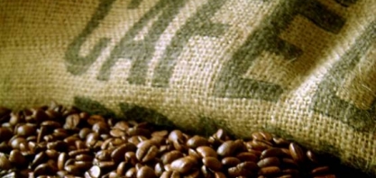 Mesmo com boa exportação, café não gera renda ao produtor