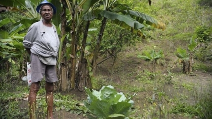 Analfabetismo atinge 15,6% dos agricultores que manipularam pesticidas