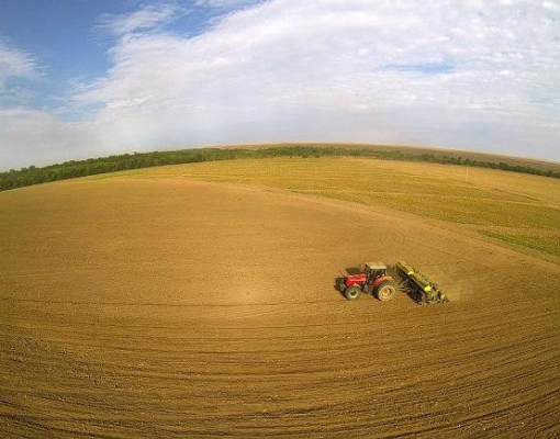 Plantio de soja do Brasil tem início mais lento em 6 anos, diz AgRural