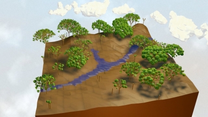 Reflorestar, sim. Mas é preciso saber onde e como 