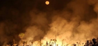 Queimadas diminuem na Amazônia, mas crescem em outras regiões