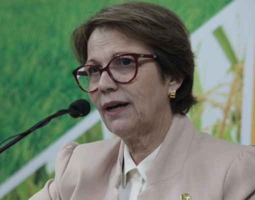 Ministra: País pronto para nova grande safra; sem decisão de apoio ao café 