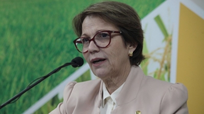 Ministra: País pronto para nova grande safra; sem decisão de apoio ao café 