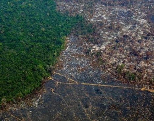 Desmatamento na Amazônia cresce 96% em setembro, indicam alertas do Inpe