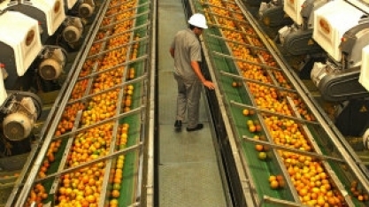 Suco: Receita com exportação cresce 46,3% em setembro ante ano anterior