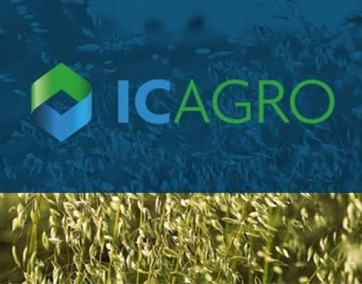 Confiança do Agronegócio segue em alta no 3º trim. e marca 115,1 pontos