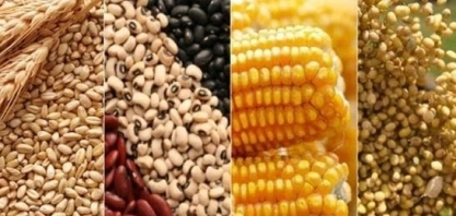 Safra de grãos 2019/20 indica produção de 245 milhões de toneladas