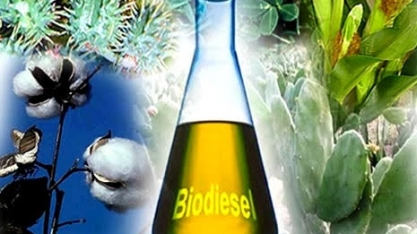 Biodiesel ultrapassa R$ 3 e pressiona diesel nos postos