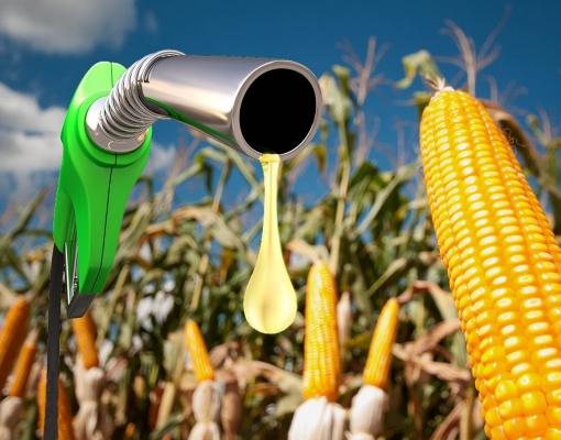 Etanol dos EUA une oposição de exportadores e importadores