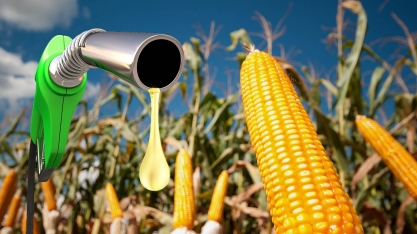 Etanol dos EUA une oposição de exportadores e importadores