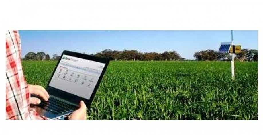 Parceria Vivo e Esalq-USP dá início ao projeto de fazenda 4.0