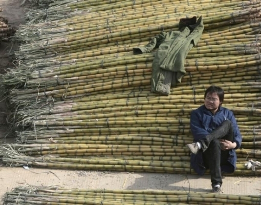 Açúcar: Estoques elevados na Índia impedem reação dos preços 
