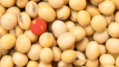 China importa menos soja em setembro com menor demanda por ração animal 