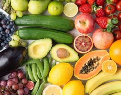 Alimento, o combustível da humanidade