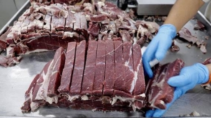Rússia reabilita frigorífico de TO para exportação de carne bovina
