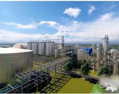 Multinacional vai produzir etanol a partir do milho em Roraima 