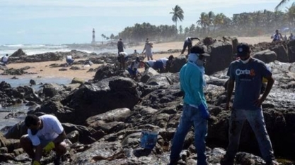 Danos do óleo no litoral do Nordeste vão durar décadas, dizem oceanógrafos