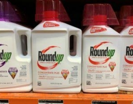 EUA: Bayer diz que queixas contra glifosato mais que dobraram desde julho