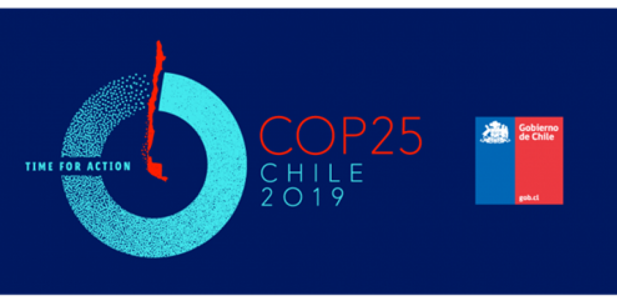 Clima: Agronegócio discute posicionamento para a COP 25 no Chile