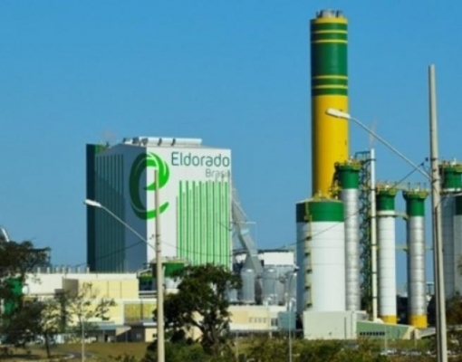 Caroço de açaí, tocos e raízes viram energia no setor de papel e celulose