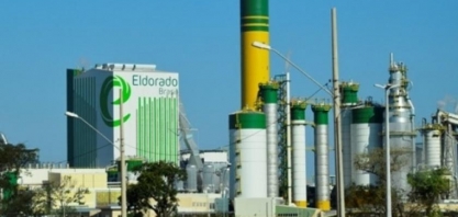 Caroço de açaí, tocos e raízes viram energia no setor de papel e celulose