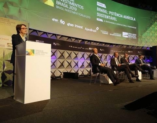 Brasil precisa encontrar mercados além da China para soja, diz ministra