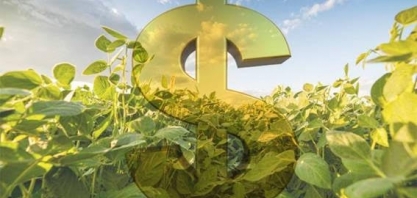 CMN autoriza composição de dívidas rurais contratadas até dezembro de 2017