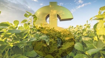 CMN autoriza composição de dívidas rurais contratadas até dezembro de 2017