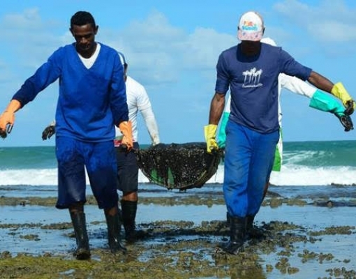 Não dá para prever fim do vazamento de óleo, diz Ibama