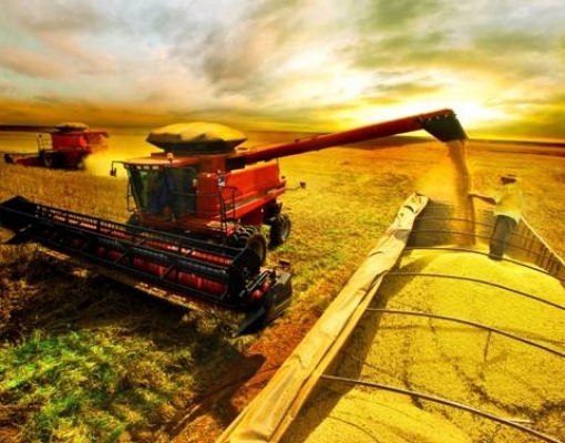 Conab prevê novo recorde para safra de grãos com 246 milhões de toneladas