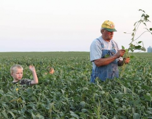 Trabalhador rural envelhece no mundo e jovem se afasta do campo
