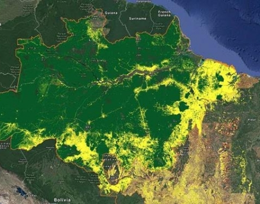 Acre: Ibama multa presidente do Tribunal de Justiça e promotor por desmate